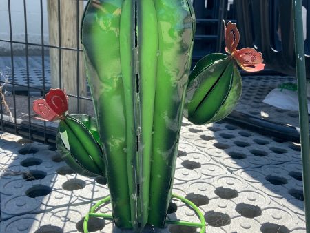 GREEN CACTUS, LARGE 17  Online