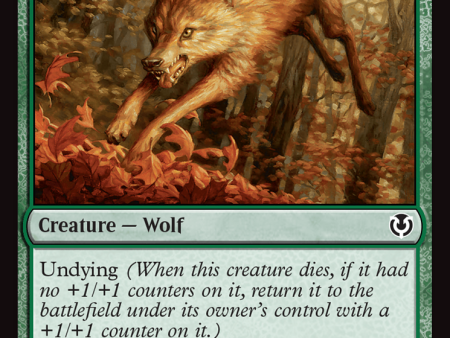 Young Wolf [Innistrad Remastered] Fashion