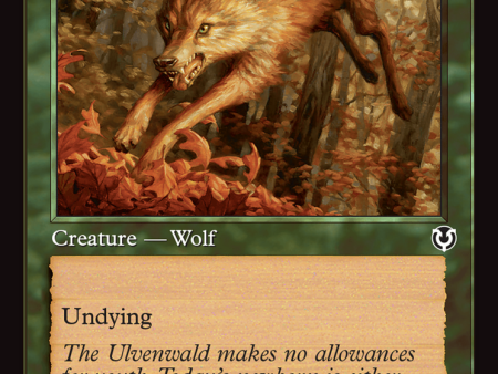 Young Wolf (Retro Frame) [Innistrad Remastered] Online